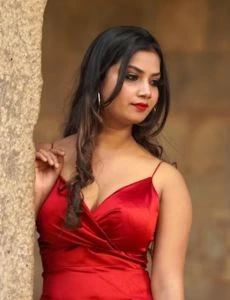 call girl service in Halvad